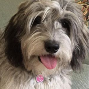 Meet your Posher, Cyndi